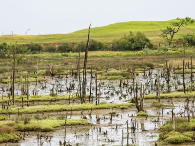 La Rabia en parque natural de oyambre