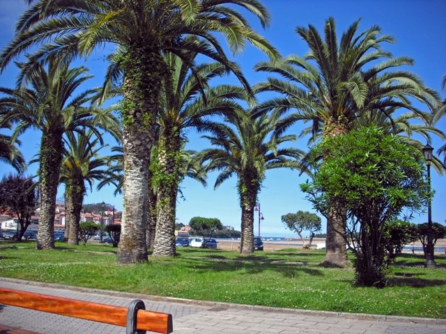 San Vicente de la barquera elementsurf surfcamp cantabria