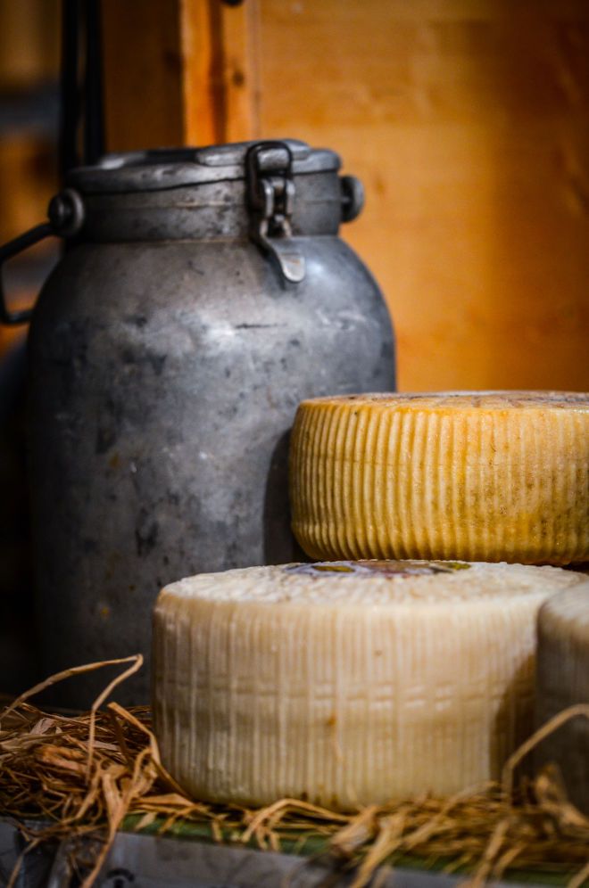 Queso de Picos de Europa